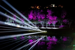 Singha Park Light Festival