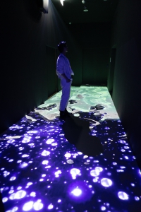 Interactive Installation Immersive Event